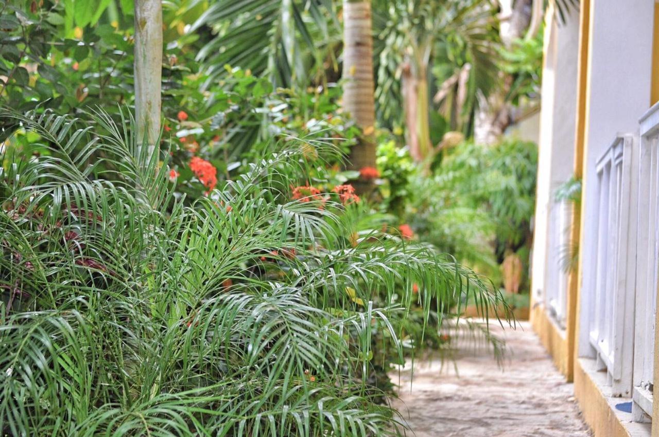 De Luz Hotel El Limon エクステリア 写真